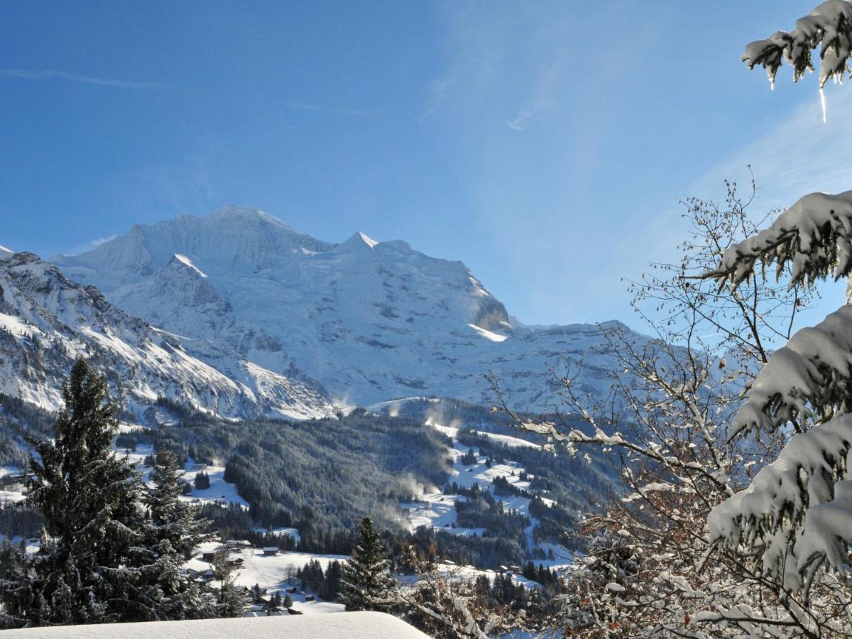 Apartment Sulegg By Interhome Wengen Exterior photo